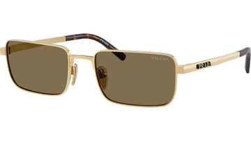 SOLID BROWN LENSES WITH GOLD FRAME