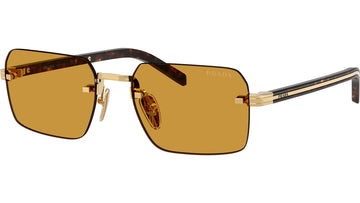 DARK HONEY LENSES WITH GOLD FRAME