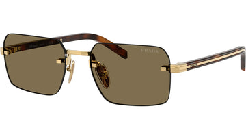 DARK BROWN LENSES WITH GOLD FRAME