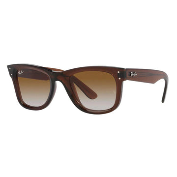 BROWN GRADIENT LENSES WITH TRANSPARENT BROWN FRAME