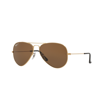 SOLID BROWN POLARIZED LENSES WITH GOLD FRAME