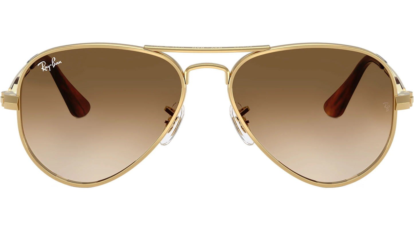 RAY-BAN 3925 AVIATOR MAX
