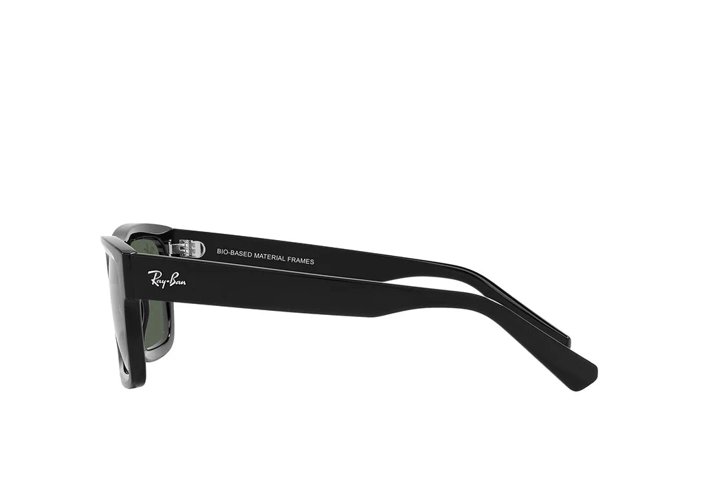 RAY-BAN 4396 WARREN