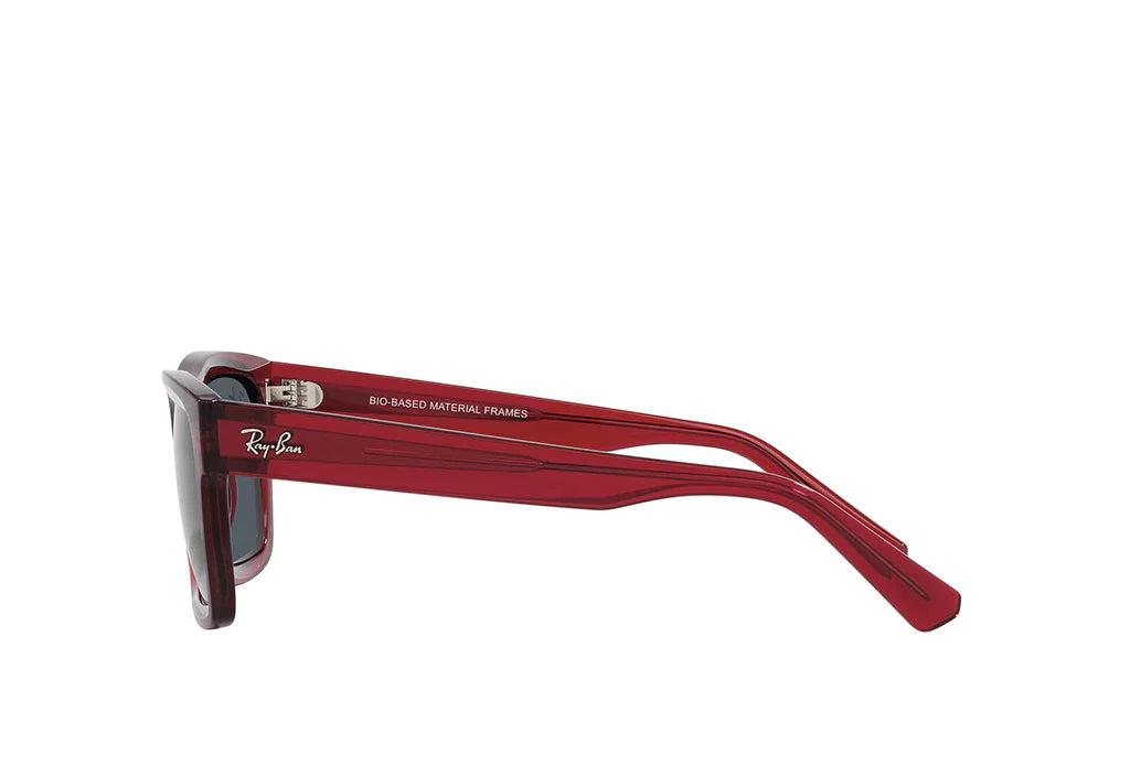 RAY-BAN 4396 WARREN