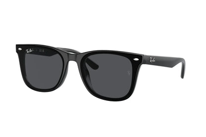 RAY-BAN 4420S