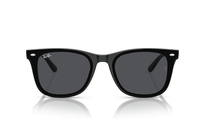 RAY-BAN 4420S