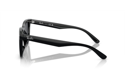RAY-BAN 4420S