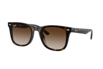 BROWN GRADIENT LENSES WITH HAVANA FRAME