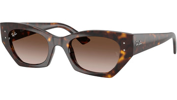 BROWN GRADIENT LENSES WITH HAVANA FRAME