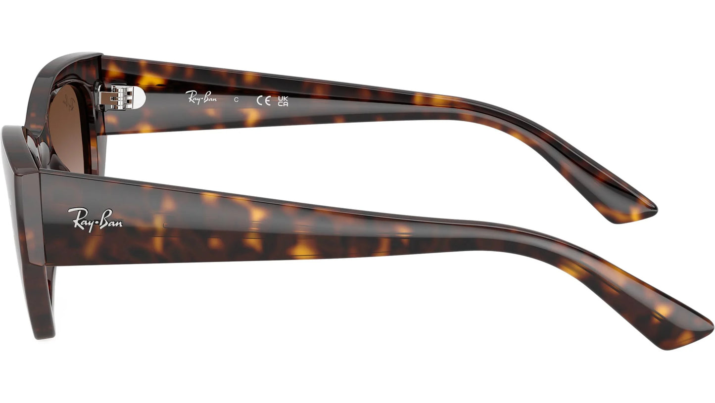 RAY-BAN 4430 ZENA