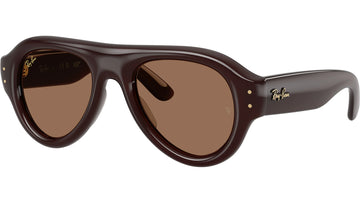 SOLID BROWN LENSES WITH TRANSPARENT BROWN FRAME