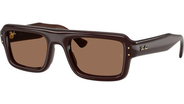 SOLID BROWN LENSES WITH TRANSPARENT BROWN FRAME