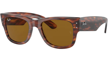 SOLID BROWN LENSES WITH HAVANA FRAME