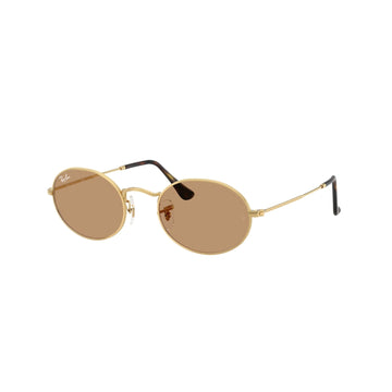 LIGHT BROWN LENSES WITH GOLD FRAME
