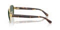 Ray-Ban RB3766CH Square Sunglasses in Black Gold, side view