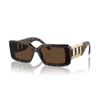 SOLID BROWN LENSES WITH HAVANA FRAME