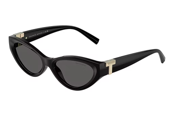 SOLID GRAY LENSES WITH BLACK FRAME