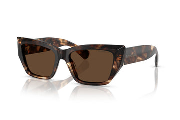 SOLID BROWN LENSES WITH HAVANA FRAME