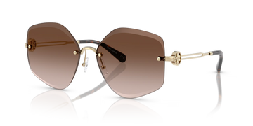 BROWN GRADIENT LENSES WITH SHINY GOLD FRAME
