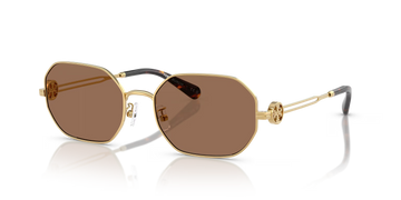 SOLID BROWN LENSES WITH LIGHT GOLD FRAME