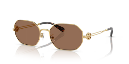 TY 6113S