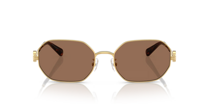 TY 6113S