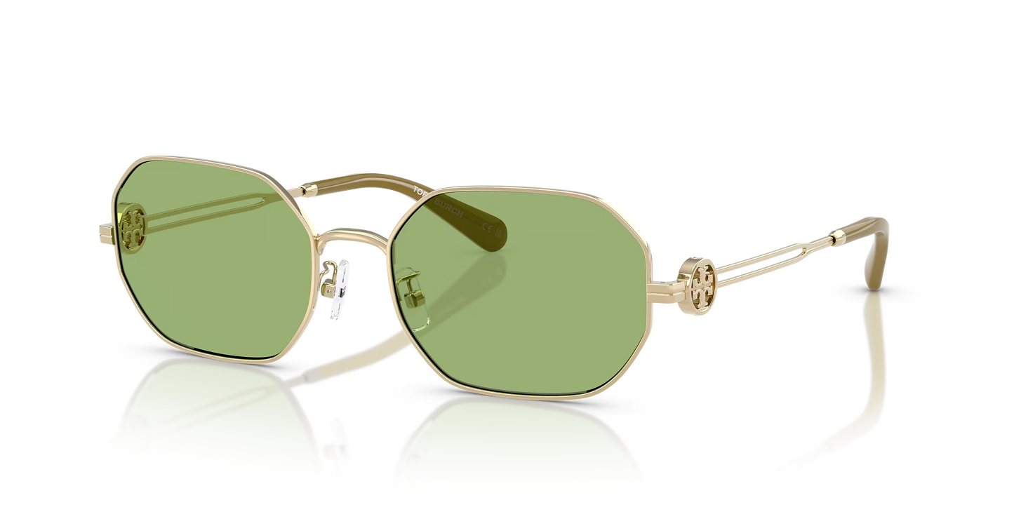 TY 6113S
