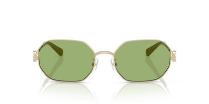 TY 6113S