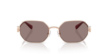 TY 6113S