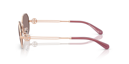 TY 6113S