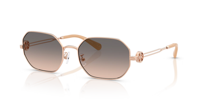 TY 6113S