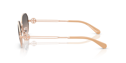 TY 6113S