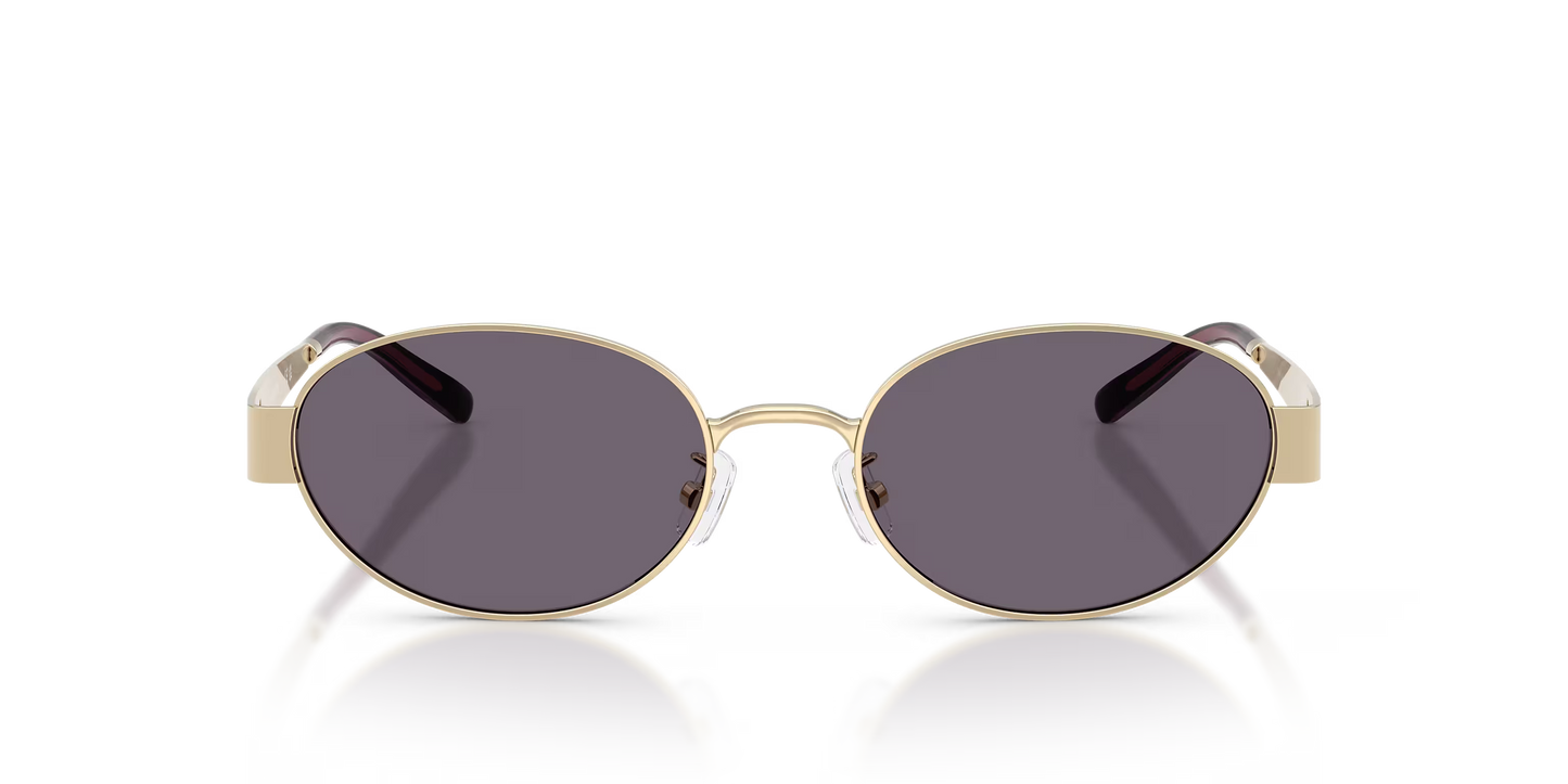 TY 6116S