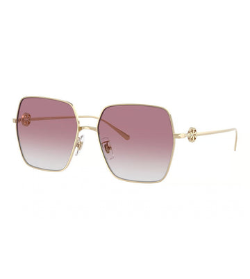 GRAY VIOLET GRADIENT LENSES WITH LIGHT GOLD FRAME