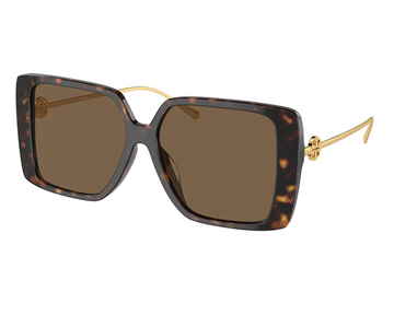 SOLID BROWN LENSES WITH HAVANA FRAME