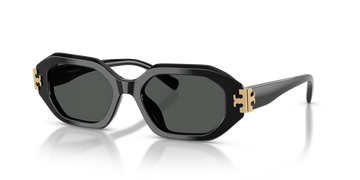 SOLID GRAY LENSES WITH SHINY BLACK FRAME