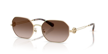 BROWN GRADIENT LENSES WITH LIGHT GOLD FRAME