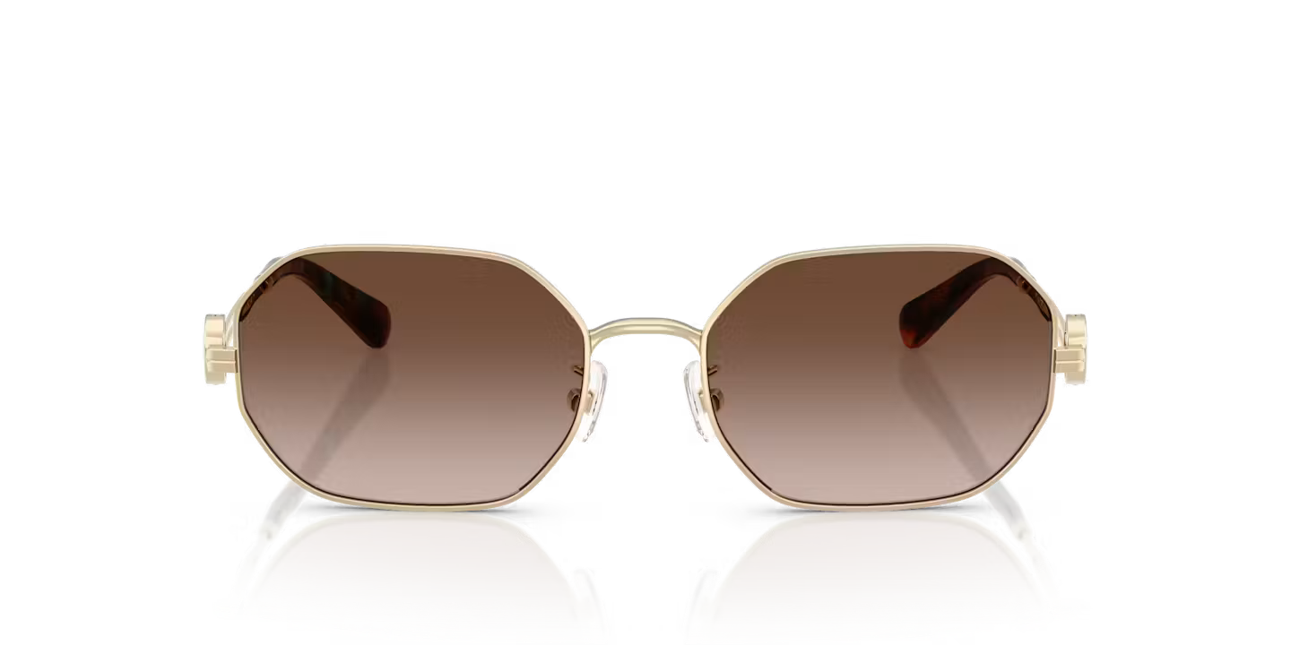 TY 6113S