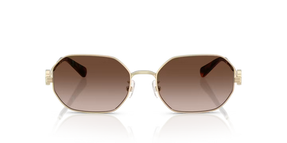 TY 6113S