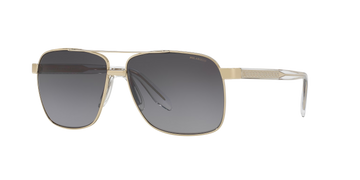 GRAY GRADIENT POLARIZED LENSES WITH GOLD FRAME
