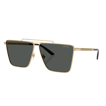 SOLID GRAY LENSES WITH GOLD FRAME