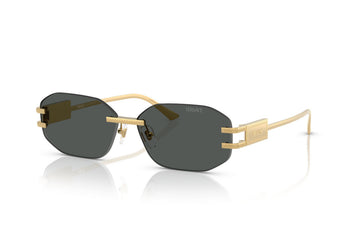 SOLID GRAY LENSES WITH GOLD FRAME