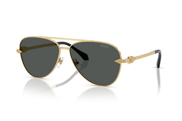 SOLID GRAY LENSES WITH GOLD FRAME