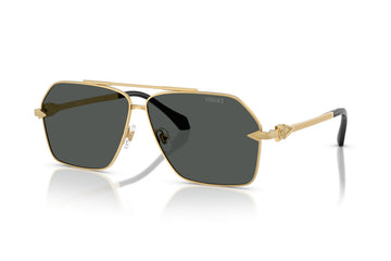 SOLID GRAY LENSES WITH GOLD FRAME