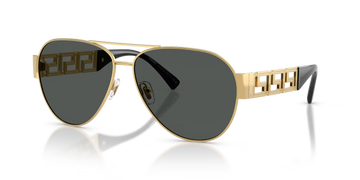 SOLID GRAY LENSES WITH GOLD FRAME
