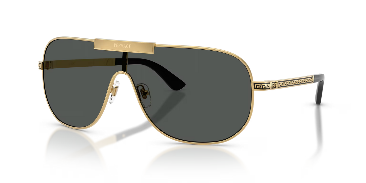 VE 2293S