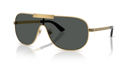 VE 2293S