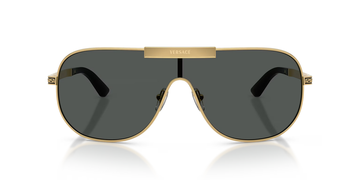 VE 2293S