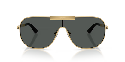 VE 2293S