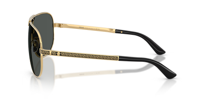 VE 2293S
